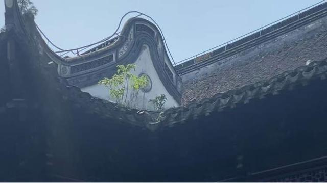 近百岁桂林公园明起闭园大修，预计工期一年！老游客：虽不舍但希望它更好地归来
