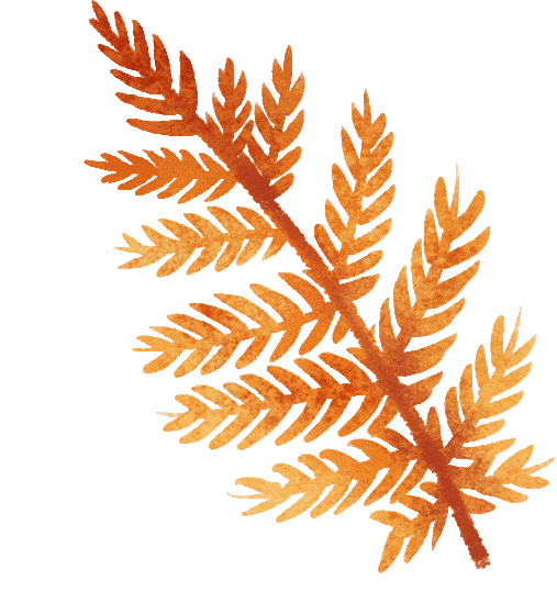 秋游TOP级目的地，就在汤山！