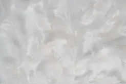 羽绒服穿着保养小知识｜上海市消保委时尚产业办图片