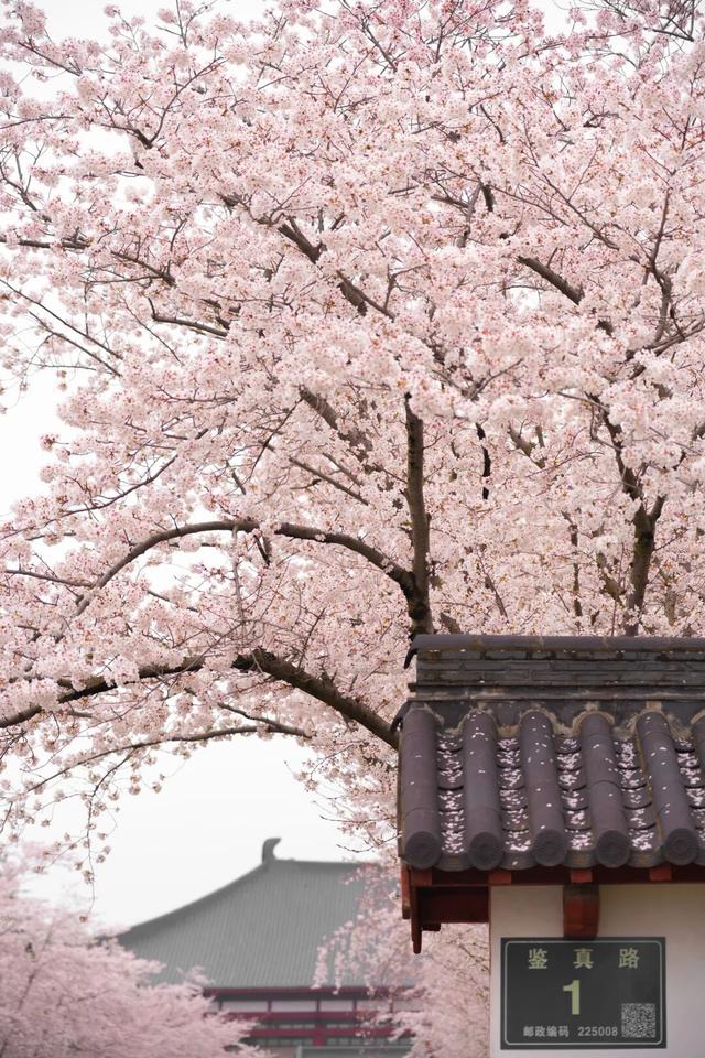 四时天工 扬州如画