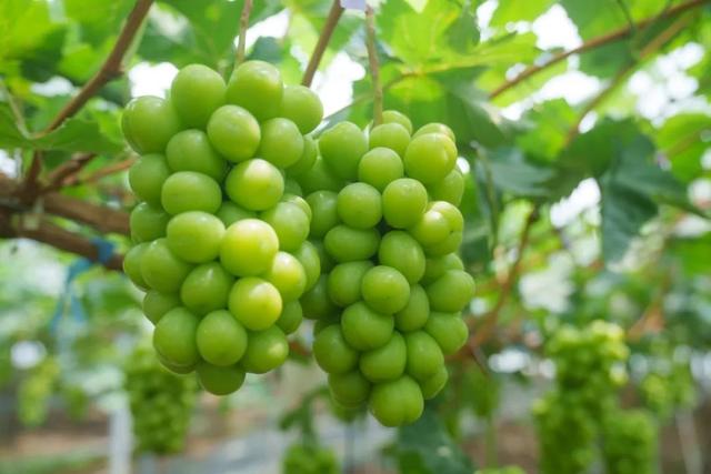 来六合，过个惬意的夏天！
