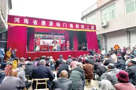 阜阳市颍东区：传统庙会新体验图片