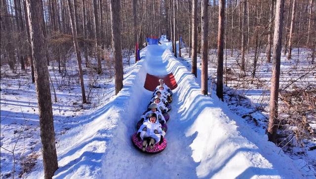 今日立冬|总有一个冬天 要来趟净月潭