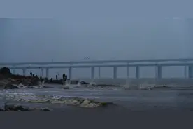 烟花秀大量无人机坠落，蔡国强再回应图片