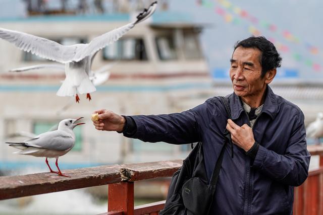 滇池：美景如画引客来