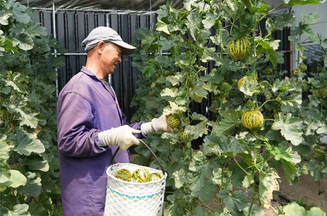 活力中国调研行丨拍剧、徒步、玩冰雪…吉林这个小山村为啥这么潮？