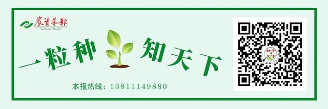 院士增选有效候选人名单来了！多位种业人入选