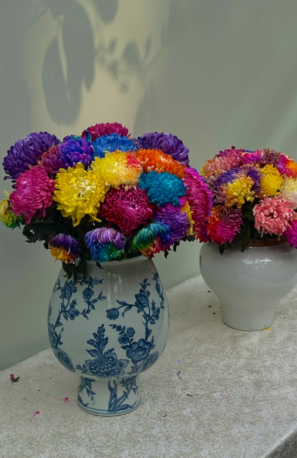 不用跑远门！郑州市区这个公园就能免费看菊花展→