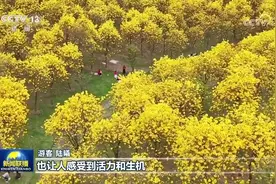 春和景明 游客尽享浓浓春意图片