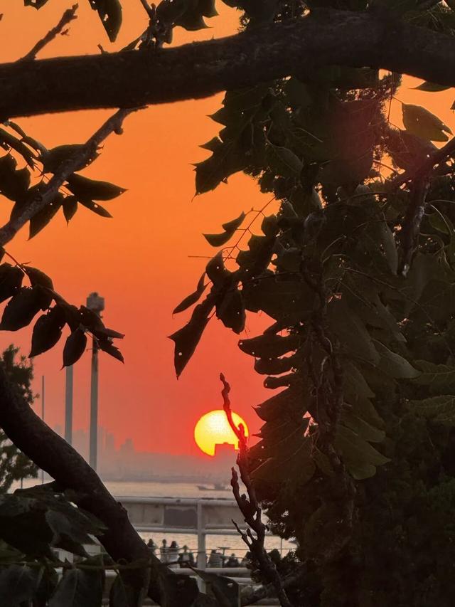 错峰游青岛轮渡，打卡火爆青岛的追鸥逐浪-橘子海航线！
