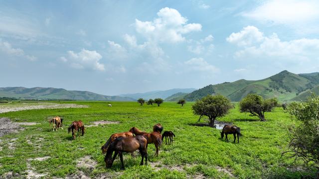 新华全媒头条·新时代中国调研行之文化中华｜悠悠文脉续华章 白山黑水谱新篇
