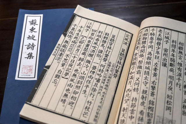 苏东坡的墓不在家乡四川，在河南！原因泪目了……