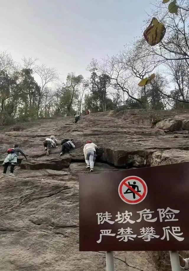 岳麓山被爬出“花”来！“野爬”成新风尚 “练胆”不能无视安全