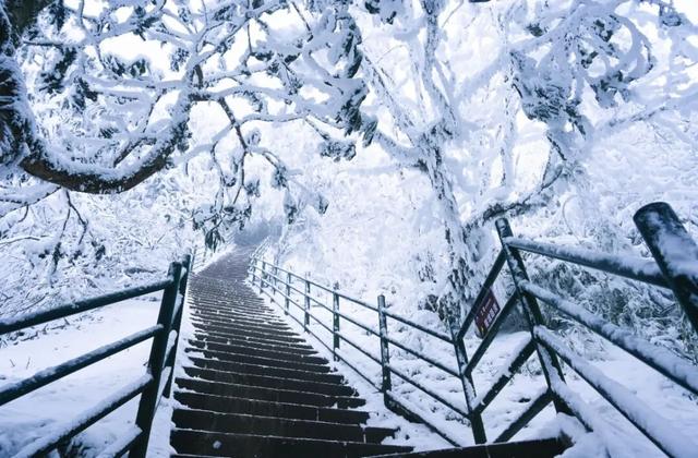 等雪来！瓦屋山绝望坡雪后挑战 UP + 趣味 UP，徒步党速冲！