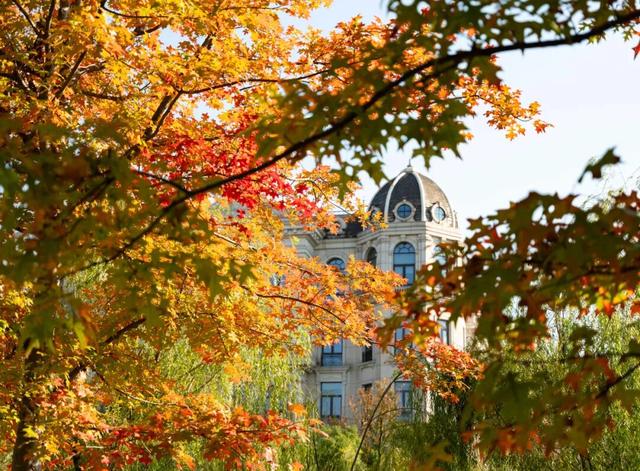 秋冬限定的普陀，美到让人流连忘返，你还不来打卡吗？