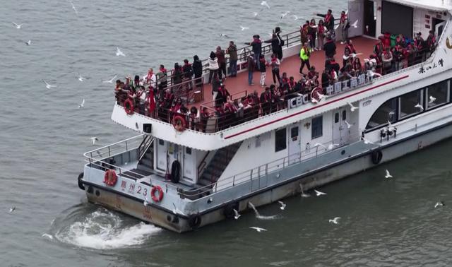 它们又双叒叕来乐山啦！场景太治愈~