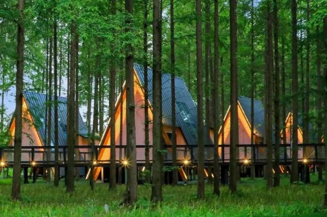 春节档出行还没敲定？特种兵们，新天地·东台里有份“灵感快闪”等你查收！