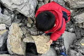 山东5岁男孩爬山捡来怪石头，竟是5亿年前古生物化石！图片