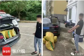 盗窃槟榔还殴打他人！琼中警方破获“案中案”，行拘8人！图片