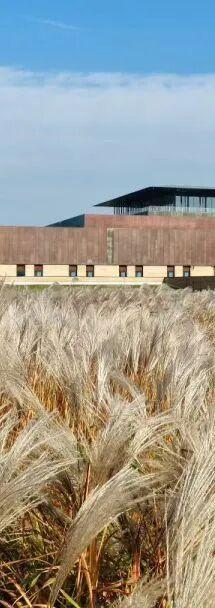 快出门！这些全是洛阳冬日限定！