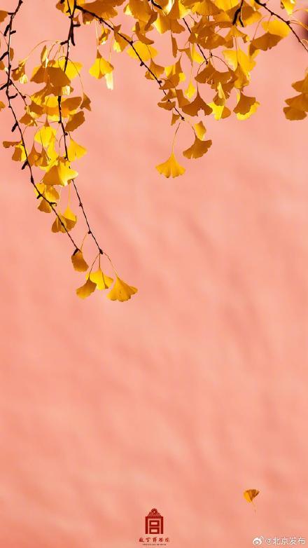 转发收藏！故宫初冬鎏金壁纸上新了 第4张