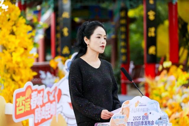 “寒假去哪儿？” 答：有海鸥、20℃、还不用人挤人的昆明！