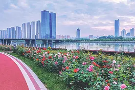 踏青登山 我省这些地方值得去图片