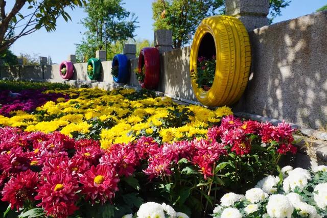 来了来了！南通秋天的仪式感