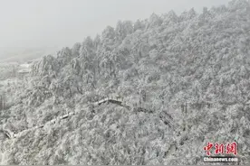 万亿冰雪经济 正在“上新”图片