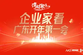 国银金租马红：发挥龙头牵引优势，协助打造大湾区租赁生态圈图片