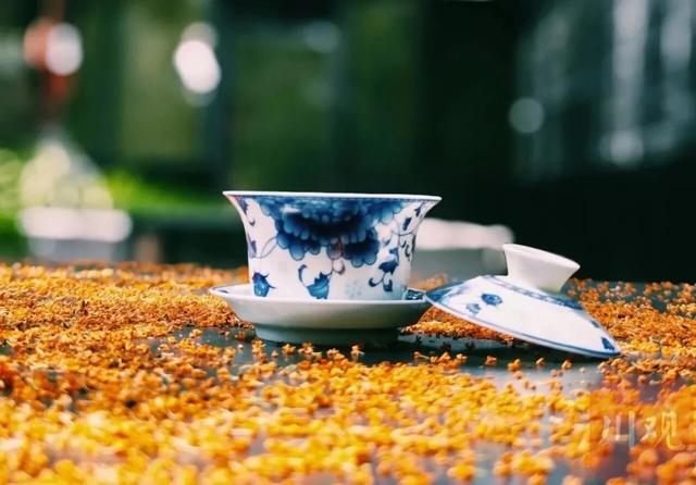 桂香迎贵客，这份寻香指南请查收