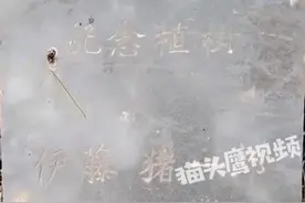 曝秦始皇陵甬道有日本人植树纪念碑 不少游客砸了好多图片