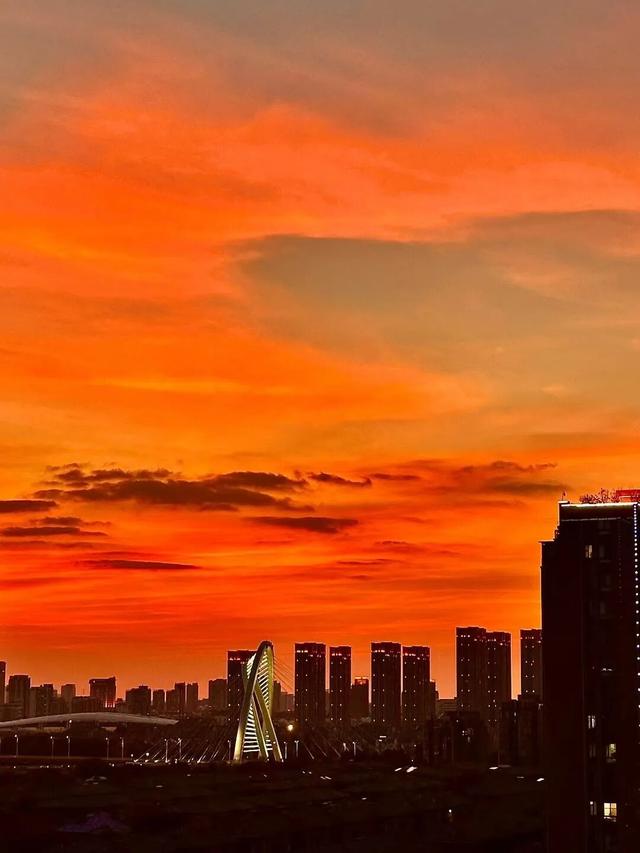 藏不住了！看一眼就“沦陷”！