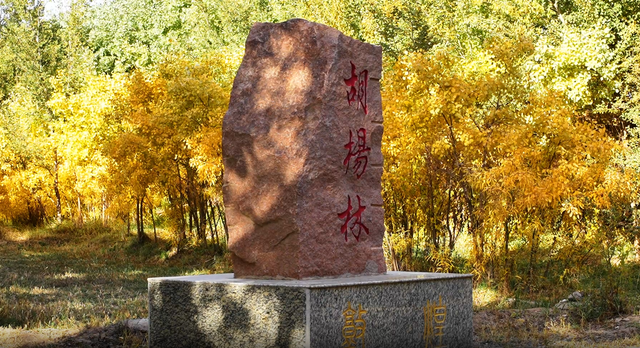敦煌市三危山下胡杨金染大漠