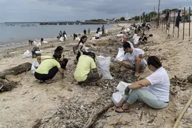 （外代一线）印尼巴塘：清理海滩图片
