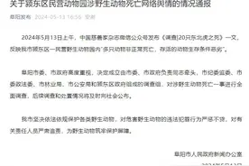 野生动物园里20只东北虎死亡？官方通报→图片