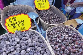 新鲜上市！价格……图片
