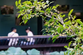 国庆旅游趋势出炉：成都跻身热门目的地前三，这5地游客最喜欢游四川图片