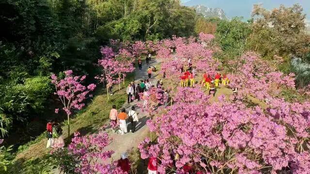 到肇庆，邂逅一场岭南绚彩之冬！