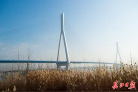 十大最美桥梁，武汉参建八座图片