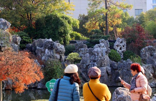 江苏苏州：桐泾公园斑斓冬景引客来