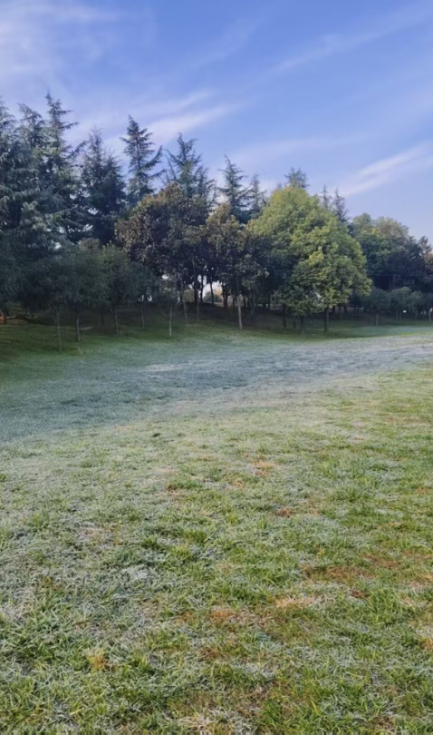 秋意浓，漫步图鉴就在→