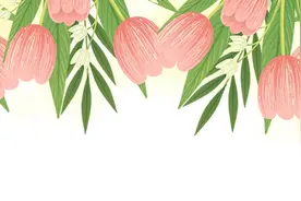 免申即享！这份老年人意外伤害综合保险指南，请查收→图片