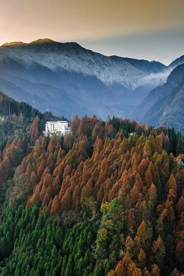 点赞！彭州入选中国最美县域