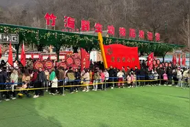 栾川竹海野生动物园：对郑游客免票，迎来春游市场爆红图片