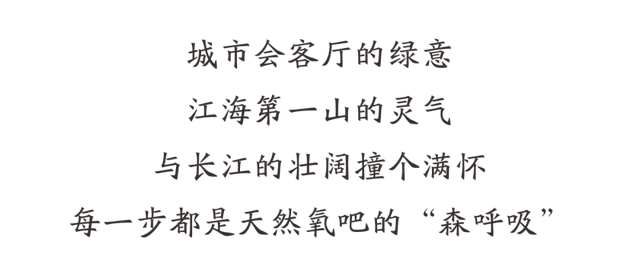 点一下，“榜一”主场之城亮了