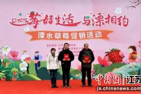 南京溧水擦亮草莓“金名片” 为乡村经济注入新活力图片