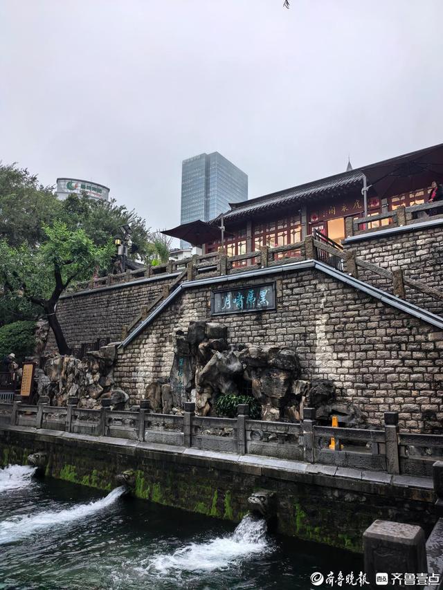 泉水撒欢！济南“泉水游”进入最佳观赏季