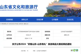 有颜有品，潍坊旅游商品斩获多个省级奖项图片