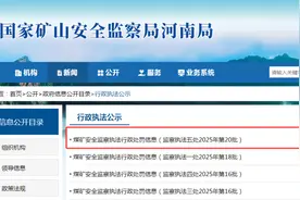 中国平煤神马集团旗下3企同登处罚信息栏，此前均被多次处罚图片